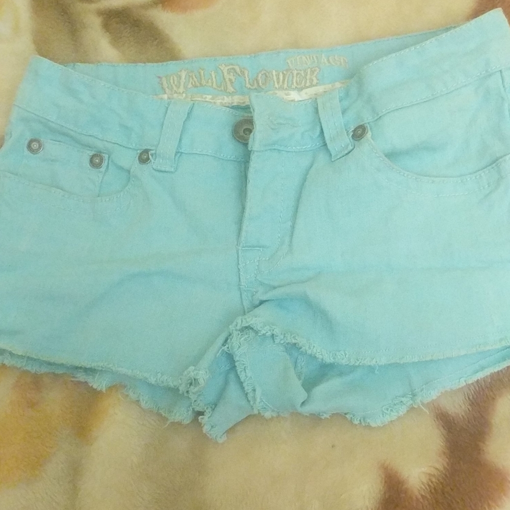 Wallflower Vintage mint green shorts
